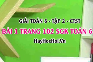Giải bài 1 trang 102 Toán 6 Tập 2 SGK Chân trời sáng tạo